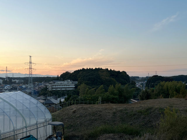 新川農園