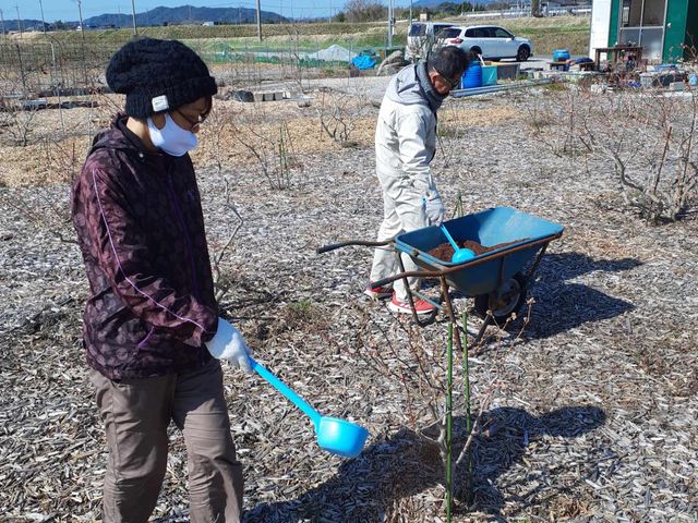 ボカシ施肥_ベリーガーデン亜矢の里
