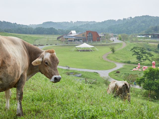 KURKKU FIELDS