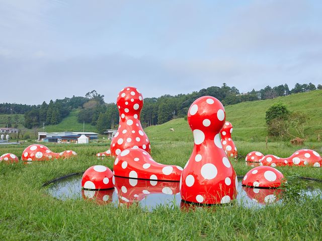 KURKKU FIELDS