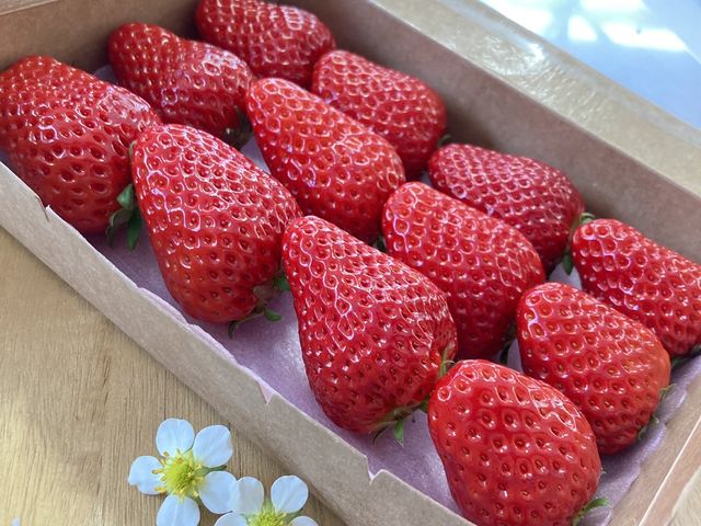 濃恋のうえん 鹿の子台店