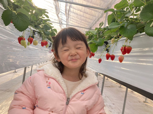 濃恋のうえん 鹿の子台店