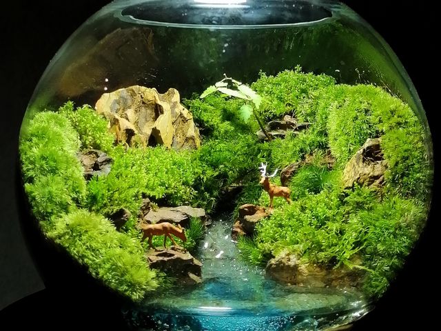 Green Planet