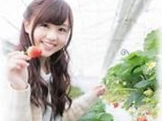strawberryfarm シャインベリーの写真3