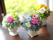 BlumenKiste-Nの写真2