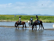 ホースランドわたりの写真4