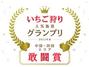 苺ファームべりふるの写真3