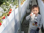 SEN's Berry Farmの写真3