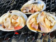 とまこまい海の駅 ほっき館の写真3