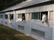 水口乗馬クラブの写真4