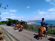 うみかぜホースファームの写真3