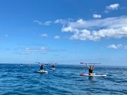 atami_supの写真3