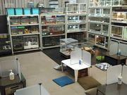 Piccolo Zooの写真3