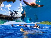 マーレ石垣島の写真2