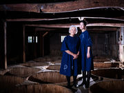 日ノ目スタヂオの写真4