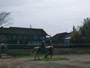 阿蘇中央ホースアイランドの写真2