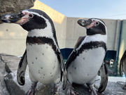 AQUARIUM×ART atoaの写真3