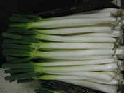 馬場ファミリー農園の写真2