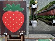 n_farmstead2012の写真2