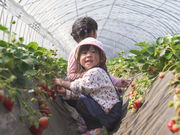 成田ファームランドの写真4