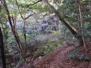 自然の「なぜ?」を考える山歩きの写真3