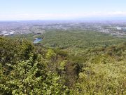 自然の「なぜ?」を考える山歩きの写真4