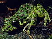 奄美オリジナルサービスの写真2