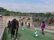 乗馬クラブクレイン学研枚方の写真2