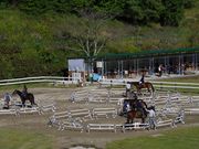 乗馬クラブクレイン北大阪の写真2