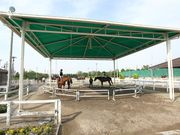 乗馬クラブクレイン東海の写真3