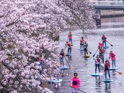 横浜SUP倶楽部の写真3