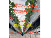 濃恋のうえん 鹿の子台店の写真3