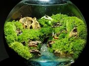 Green Planetの写真3