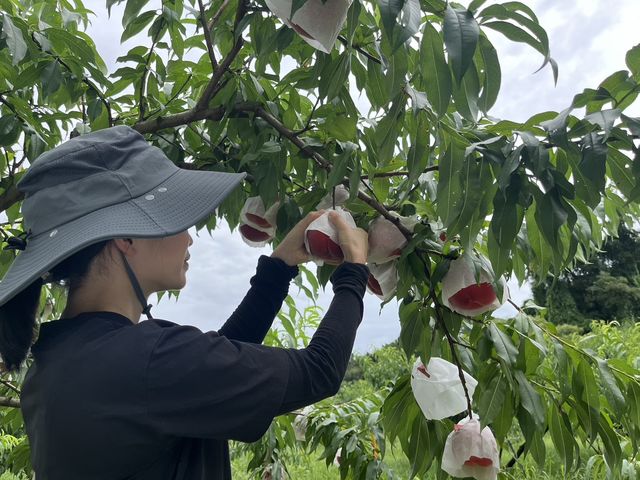 紀の川市地域おこし協力隊