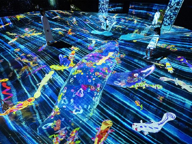 鼓動する谷のグラフィティネイチャー - Symbiotic Lives, A Whole Year per Year, Red List_チームラボフォレスト 福岡-SBI証券