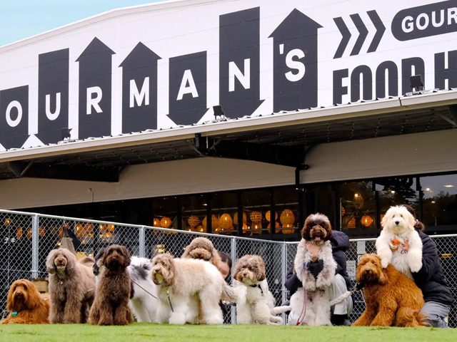 美食家の職人が集まる大空間のフードホール”Gourman's”_WHATAWON