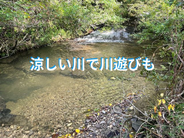 収穫体験以外の時間は車をそのまま停めて近くの川で川遊びもできます。_大多喜わんぱく自然農園