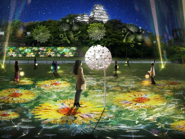 DANDELION PROJECT
_DANDELION PROJECT 姫路城 × NAKED, INC.