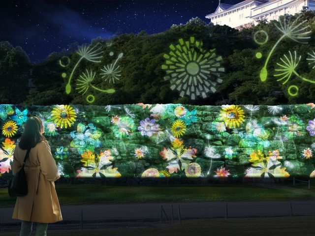 DANDELION Wall Projection_DANDELION PROJECT 姫路城 × NAKED, INC.