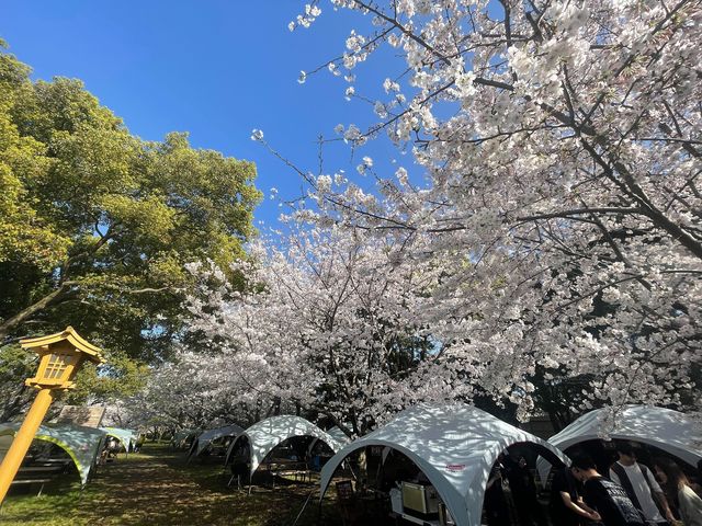 ♪季節を感じながらBBQ♪
大自然に包まれて、見上げれば大空、見渡せば笑顔、最高のロケーションをご堪能下さい★_舞鶴公園 BBQ GARDEN