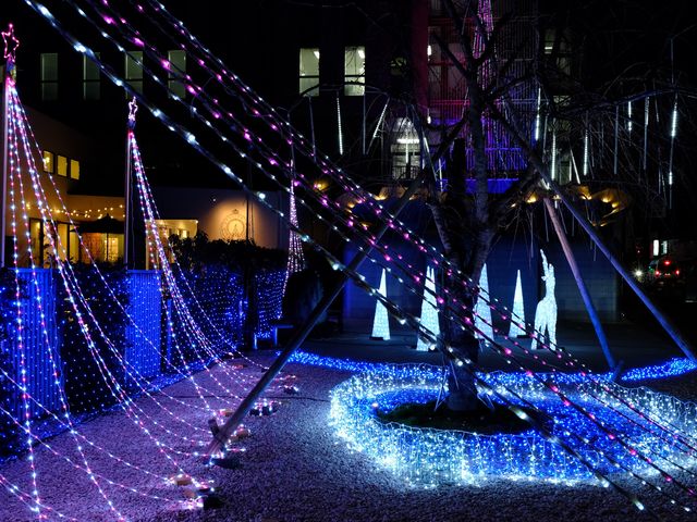 さまざま広場
「冬の桜のイルミネーション」事業_まちづくり伊賀上野