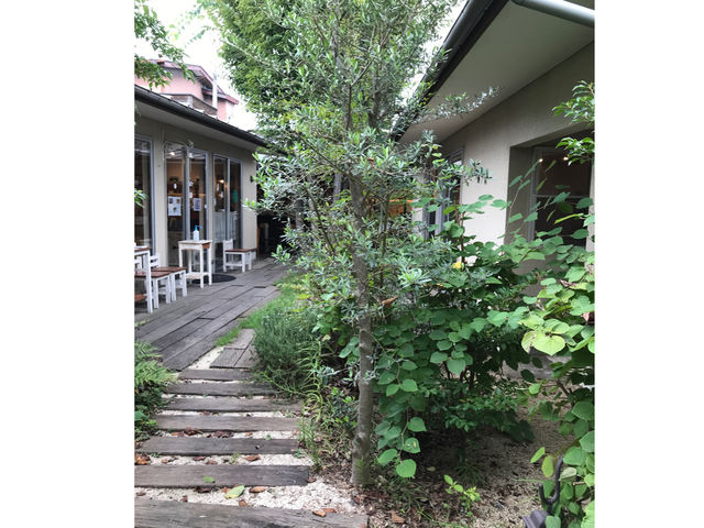 くまのこ陶芸