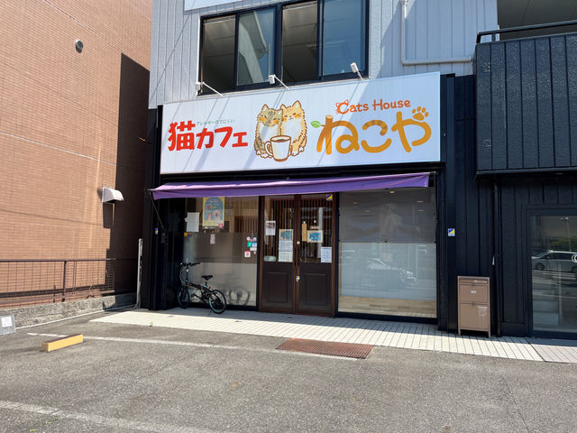 Cats House ねこや