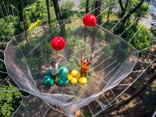 多様な樹上アクティビティ_フォレストアドベンチャー・龍ケ崎