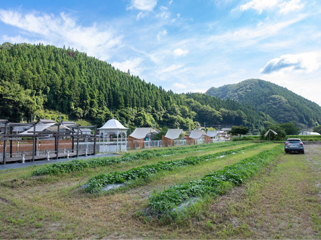 バーベキュースペースと野菜畑_アマンズガーデン直営BBQ場