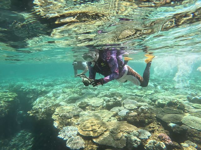Reef Club Ququru
