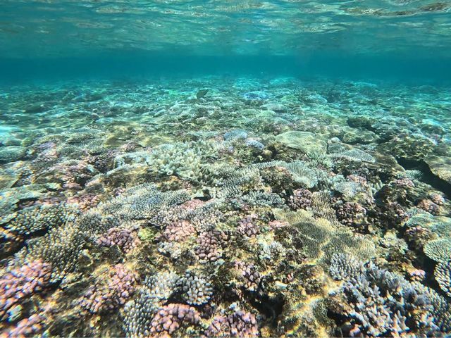 Reef Club Ququru