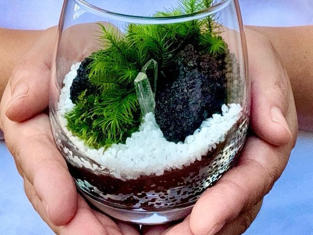 【湘南・横浜開催】一番人気の「クリスタルのコケテラリウム」。湘南・横浜で教室開催しています。_Vesmir 苔テラリウム