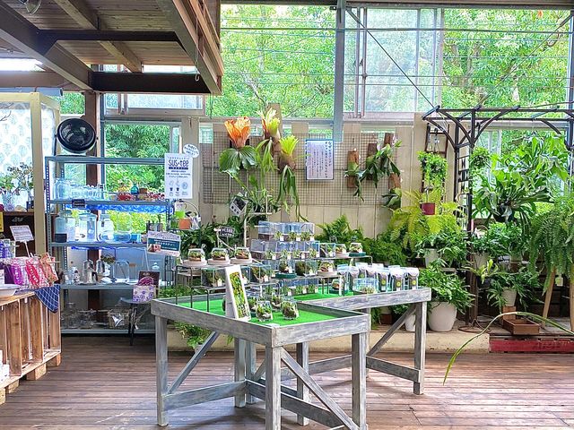 【湘南・横浜開催】湘南・横浜の園芸店にて作品販売しています。教室の前後に苔テラリウムの土やピンセットなども購入可能。_Vesmir 苔テラリウム