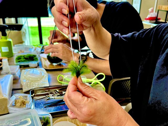 【湘南・横浜開催】体験クラスではわかりやすい「植え方」の説明があります。皆はじめてなので大丈夫。ゆっくり進めます。_Vesmir 苔テラリウム